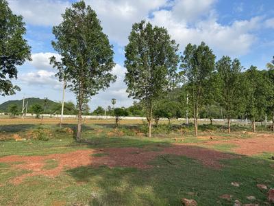 Kothavalasa Plot View 2