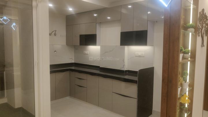 Opulent Arya Shine Main Image 1