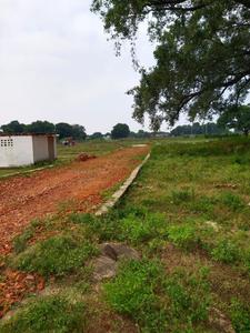 Rohania Plot View 1