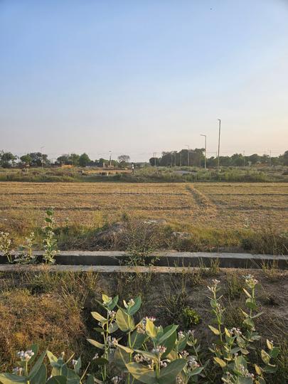 Sector 22D Greater Noida Main Image 1