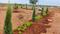 AUTUMN ECOTICA Plot View 2