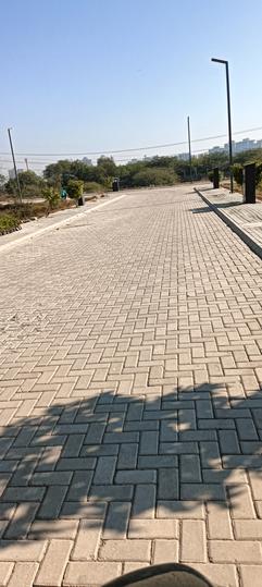 Adani Oyster Greens Phase 1 Main Image 1