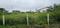 Vijay Nagar Plot View 2