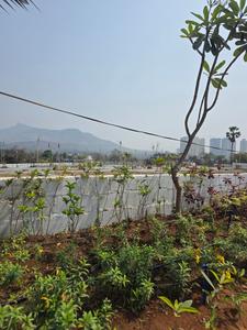 Image of 1050 Sq.ft Residential Plot / Land for sale in Chowk, Navi Mumbai for Rs. 6300000