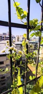 Image of 488 Sq.ft 1 BHK Apartment / Flat for sale in Shreeram Residency, Titwala, Thane for Rs. 2000000