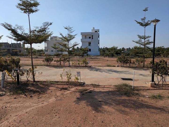 RAK Felicity Main Image 1