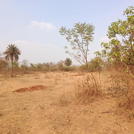 Titwala Main Image 1