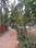 Kalyanpura Main Image 1