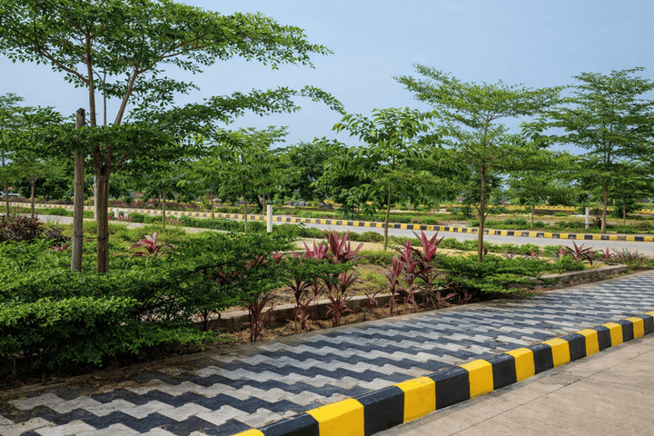 Chikkajala Main Image 1