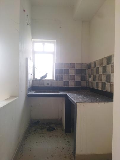 Eden Tolly Cascades Main Image 1