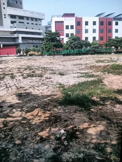 Adani Oyster Greens Main Image 1