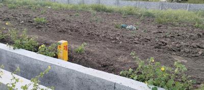 Image of 3024 Sq.ft Residential Plot / Land for sale in Chilakaluripet, Palnadu for Rs. 4500000