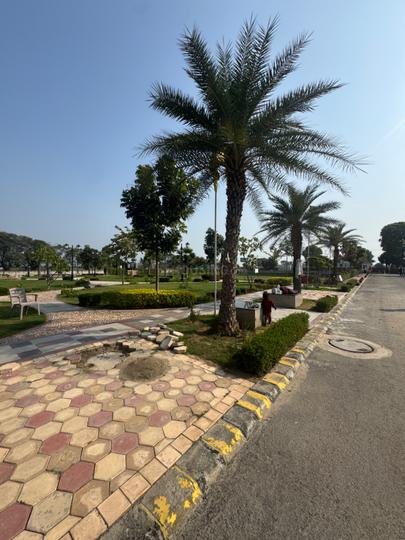 Omaxe City Main Image 1
