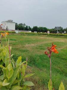 Omaxe City Plot View 3