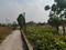 Kanak green park 1 Plot View 2