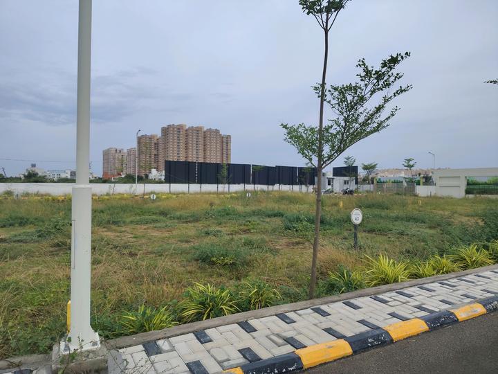 Belleza Main Image 1