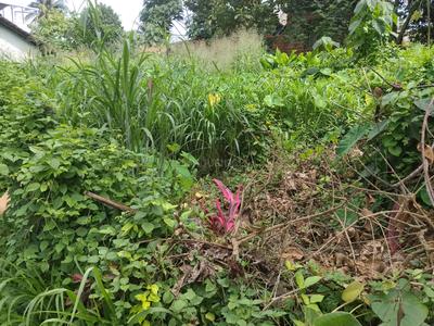 Image of 4300 Sq.ft Residential Plot / Land for sale in Kankanady, Mangalore for Rs. 9000000