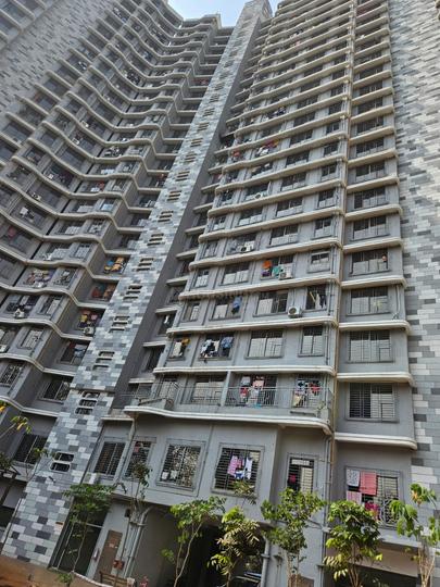 DP Star Main Image 1