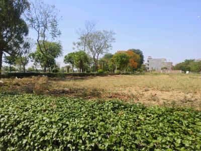 Image of 160 Sq.ft Residential Plot / Land for sale in Swastik Greens, Manesar, Gurgaon for Rs. 21500000