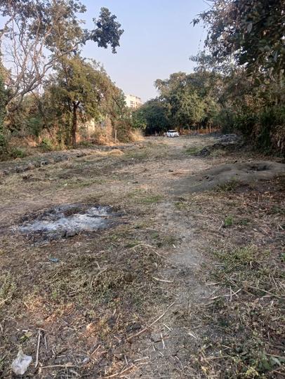 Sarawali Main Image 1