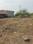 old kalamna road Main Image 1