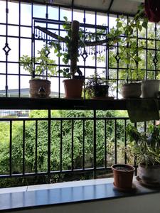 Living Room Image of 1319 Sq.ft 3 BHK Apartment / Flat for sale in VNR Milford, Maduravoyal Chennai for Rs. 9500000