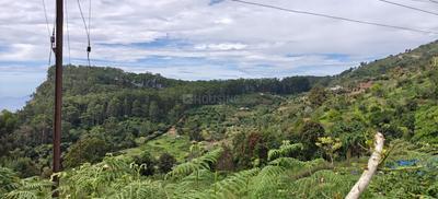 Shenbaganur Plot View 2