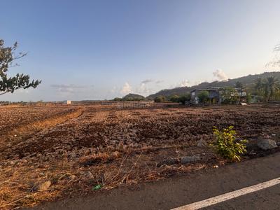 Residential Plot