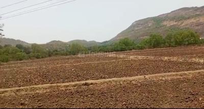 Sarde Plot View 2