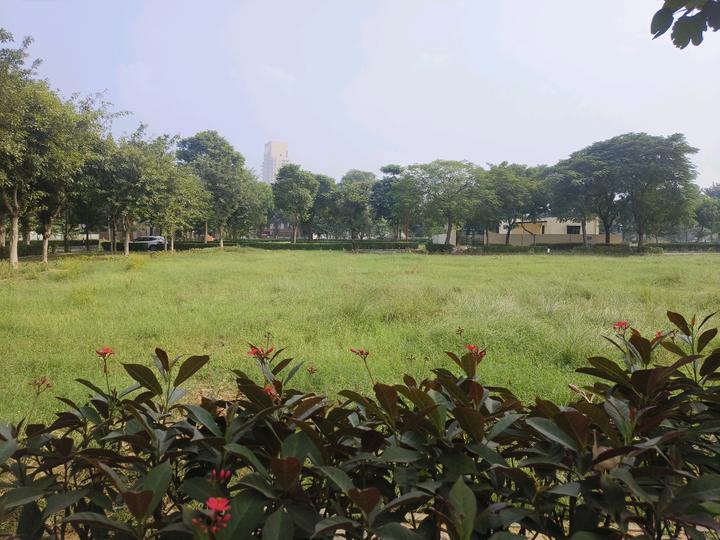 Vatika Xpressions Main Image 1