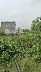 Image of 2610 Sq.ft Residential Plot / Land for sale in Bad, Mathura for Rs. 3770000