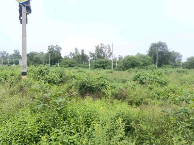 Image of 64 Sq.ft Residential Plot / Land for sale in Sector 36 Rohini, New Delhi for Rs. 13500000