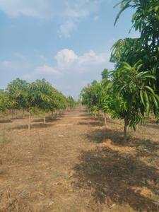 Image of 212 Sq.ft Residential Plot / Land for sale in Jinnaram, Sangareddy for Rs. 2300000