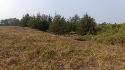 Image of 93108 Sq.ft 4 BHK Farm House for sale in Morjim, Goa for Rs. 1100000000