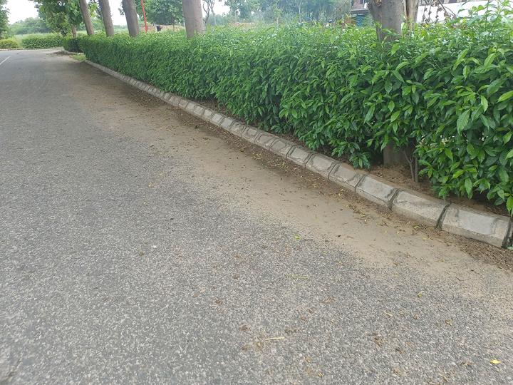 Vatika sector 83 Main Image 1