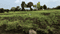 Salunkhe Nagar Plot View 2