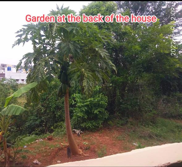 2 BHK Independent House for rent in Hosur Municipality, Hosur 1000