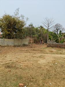 Simuldanga Plot View 2