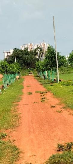 Hanspal Main Image 1