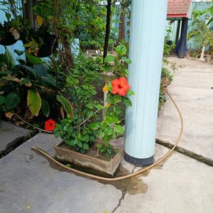 Image of 4828 Sq.ft 5 BHK Villa for sale in Garia, Sonarpur, Kolkata for Rs. 19000000