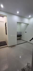 Hall Image of 1600 Sq.ft 2 BHK Apartment / Flat for rent in Dhoomanganj Allahabad for Rs. 7500