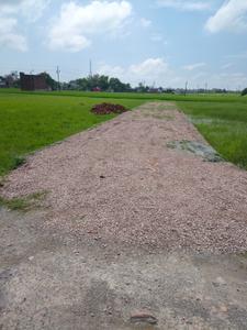 Image of 1360 Sq.ft 1 BHK Farm House for sale in Narayanpur, Mirzapur for Rs. 2350000