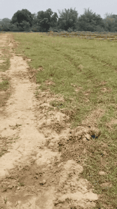 Image of 435 Sq.ft Residential Plot / Land for sale in Namkum, Ranchi for Rs. 850000
