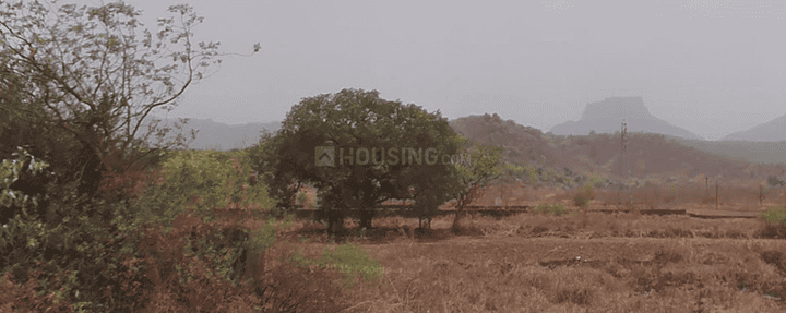 Vangani Main Image 1