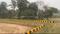 Juggaur Plot View 2