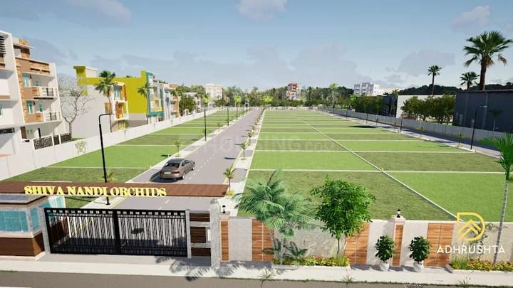 Erayaa shivanandini orchids Main Image 1