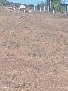 Thirumukkadu Plot View 1