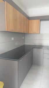 Kitchen Image of 2763 Sq.ft 3 BHK Apartment / Flat for rent in Kadavanthra Kochi for Rs. 60000