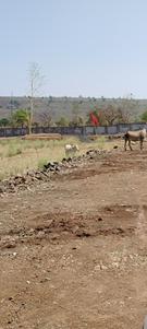 Image of 1000 Sq.ft Residential Plot / Land for sale in Kundam, Jabalpur for Rs. 100000