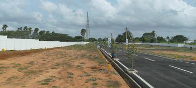 Kurichi Plot View 2